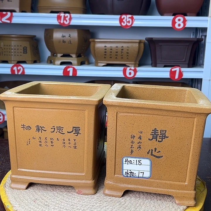 紫砂花盆你在一起