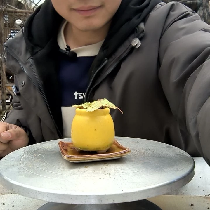 悟**茶小盆景小植物一物一拍219