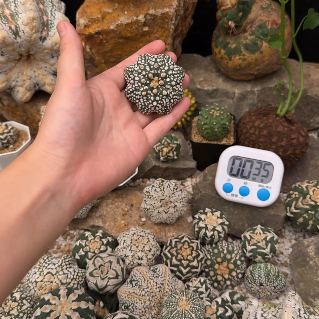 沁***哥v兜哈哈哈哈哈哈哈