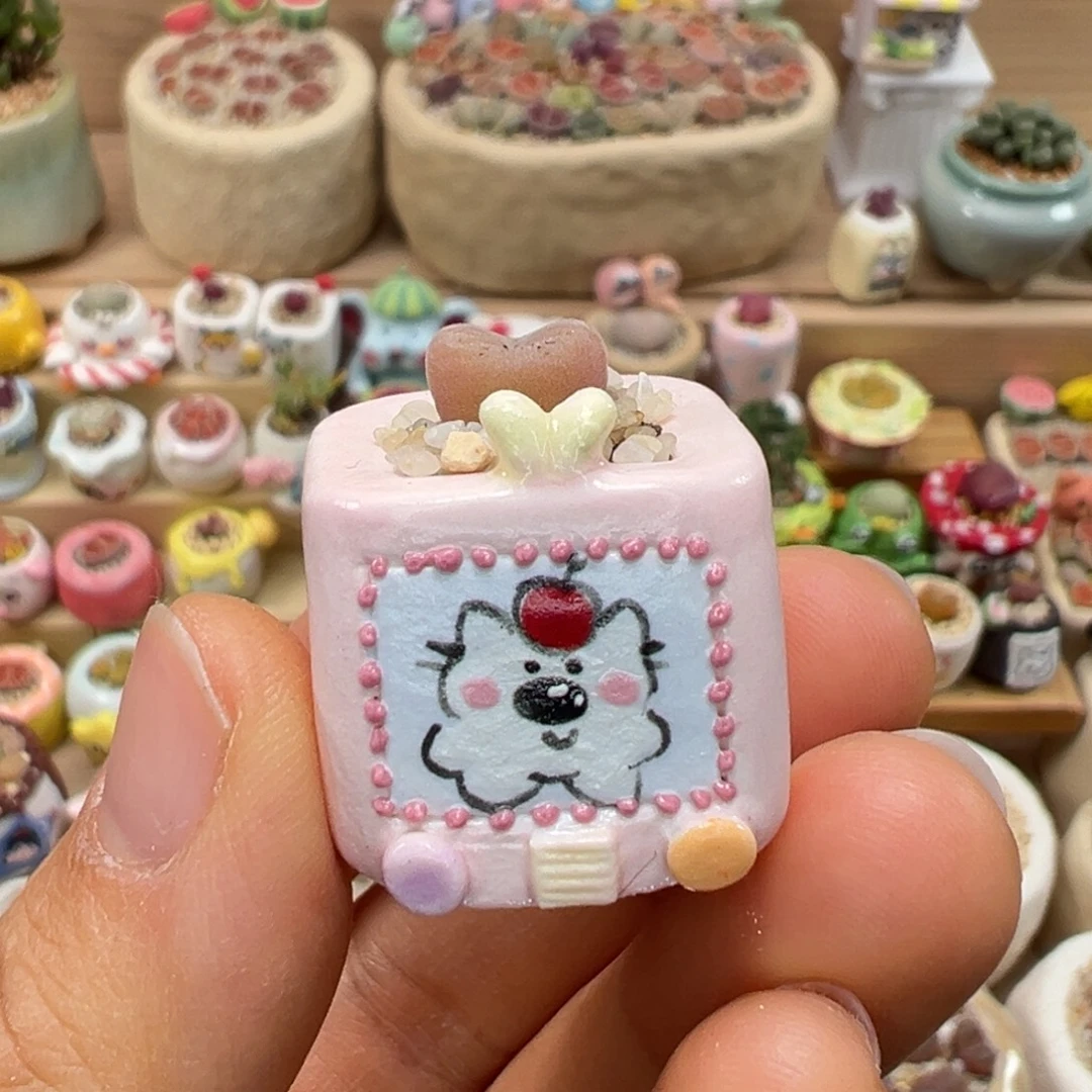 多肉植物66号拇指盆