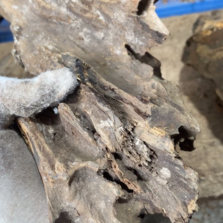 法***老贡木把件定制不退不换