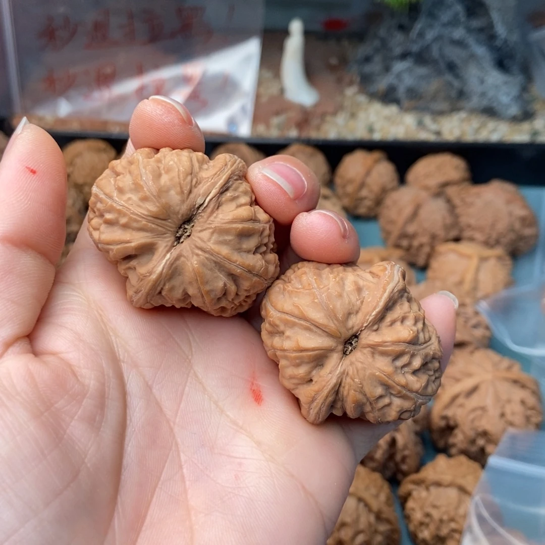 文玩核桃把件元宝5