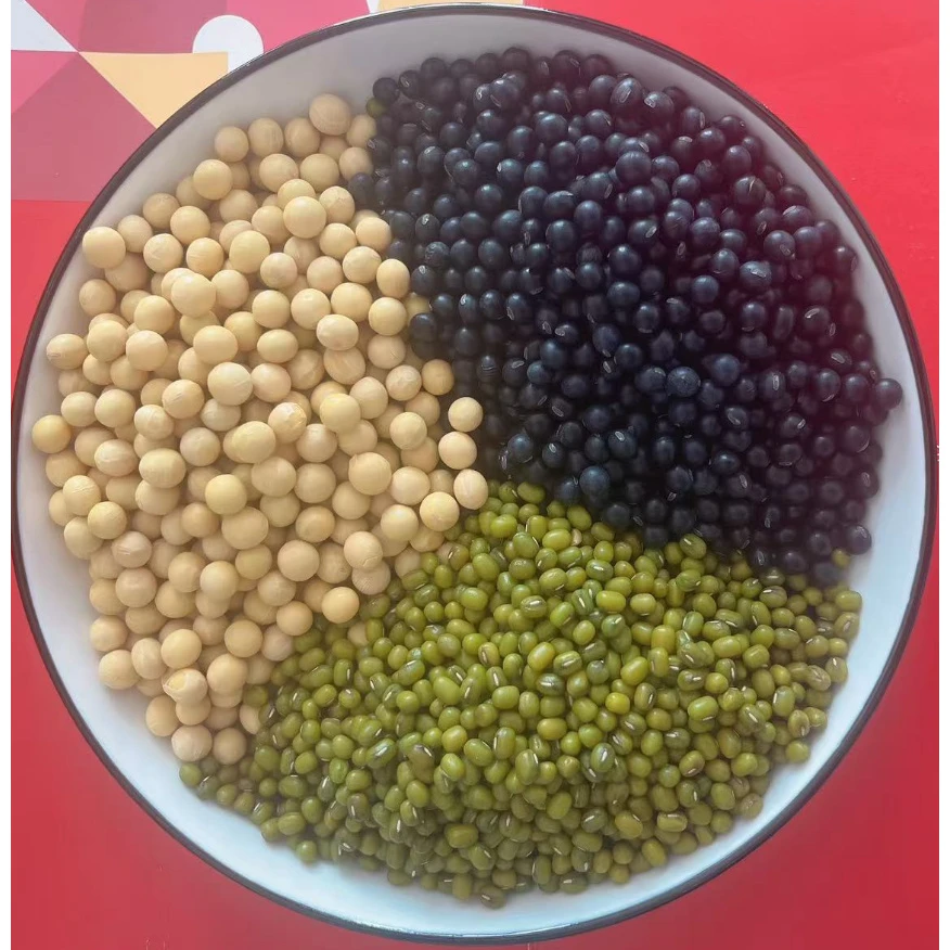 东北黑土地黄豆黑豆绿豆组合装打豆浆生豆芽豆腐煲粥煮汤