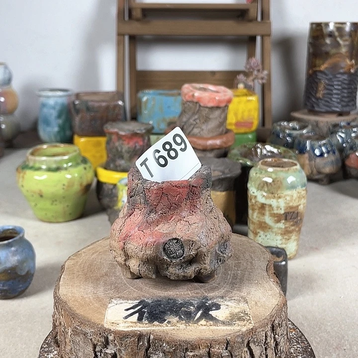 紫砂花盆开播福利 陶瓷花盆