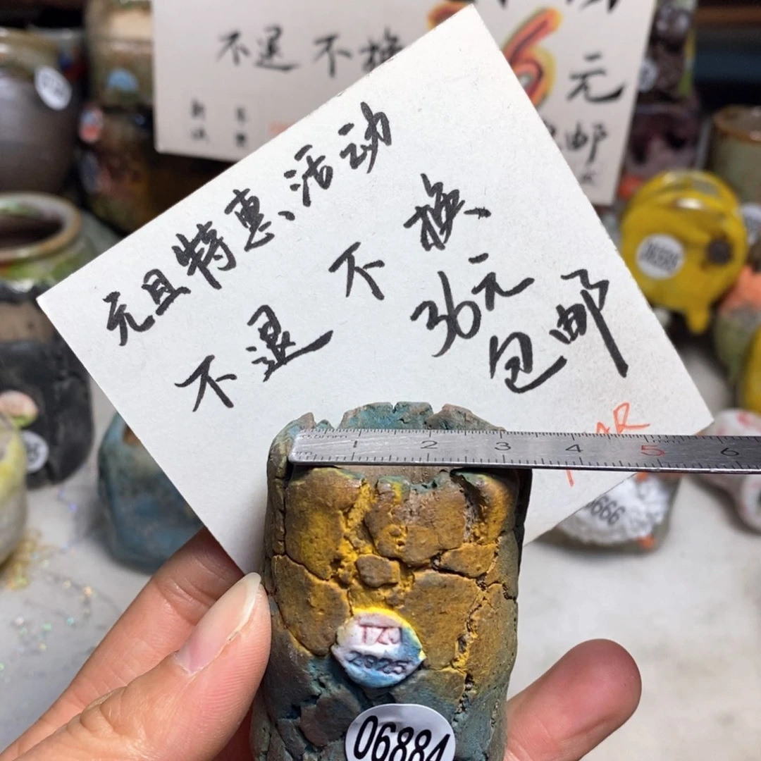元旦特价花盆不退不换的原价28元