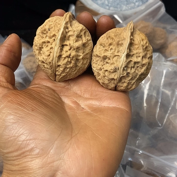 把件文玩核桃云南铁核桃基地44