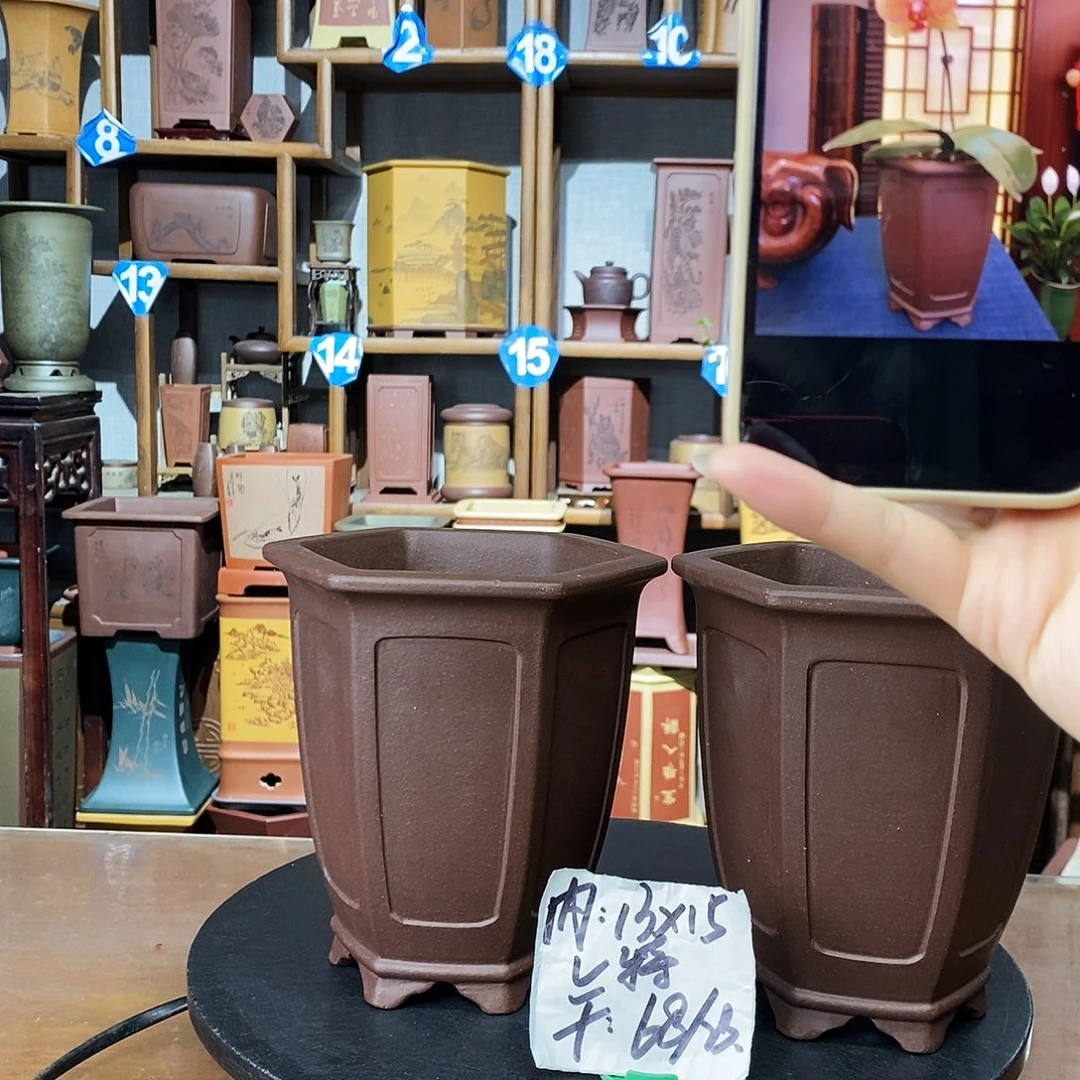 花盆紫砂大漏价降至68两只