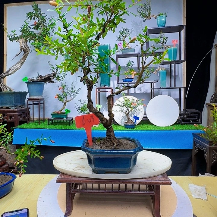 马**成f g h j j k k