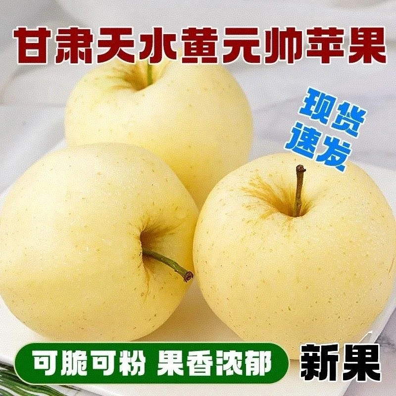 甘肃正宗黄元帅苹果脆甜可口香甜新鲜水果老人孕妈妈宝宝辅食