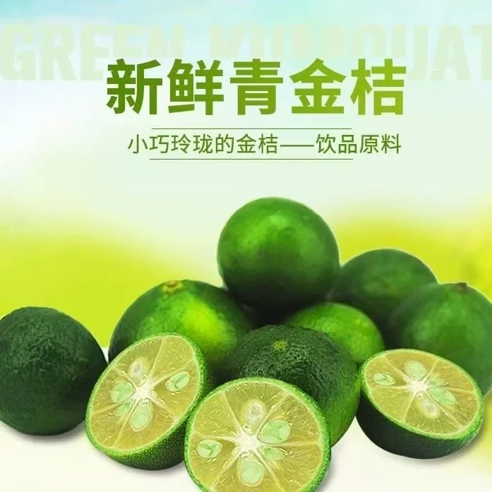 正宗海南青金桔新鲜小青桔奶茶店专用青皮小金桔皮薄多汁整箱包邮