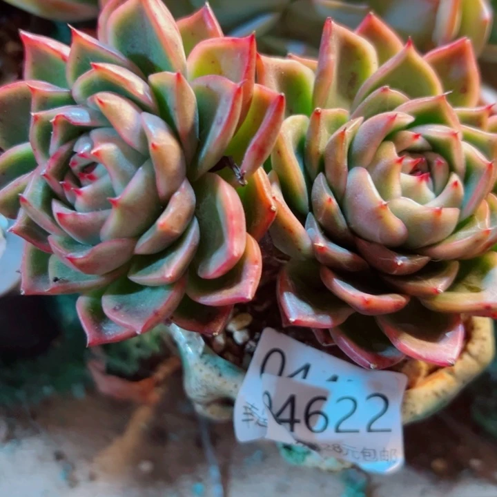 幸运的是我还没遇到