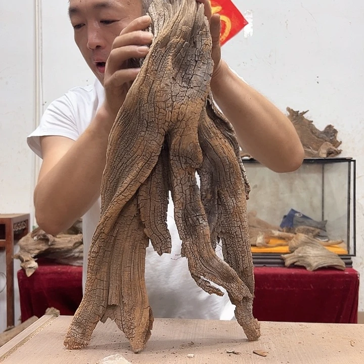 柏木C*S我们的生活是以一个