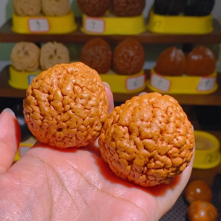 用***0野生三瓣脑纹大金刚4851