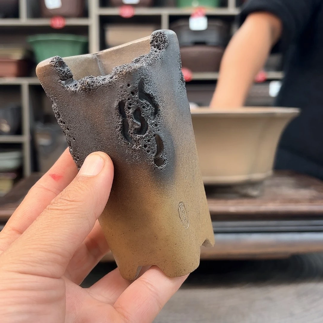 紫砂花盆天**淡紫砂的味道很浓