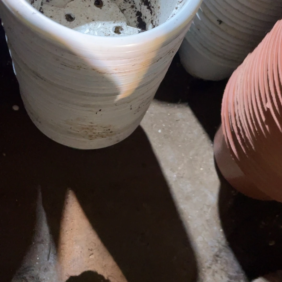 旧口径15高11白圆盆30个