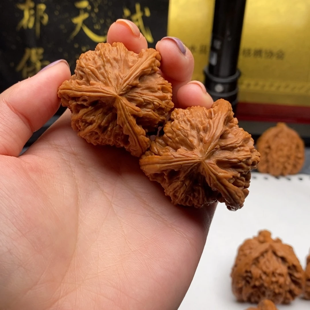 鸟**叫白狮子1111111