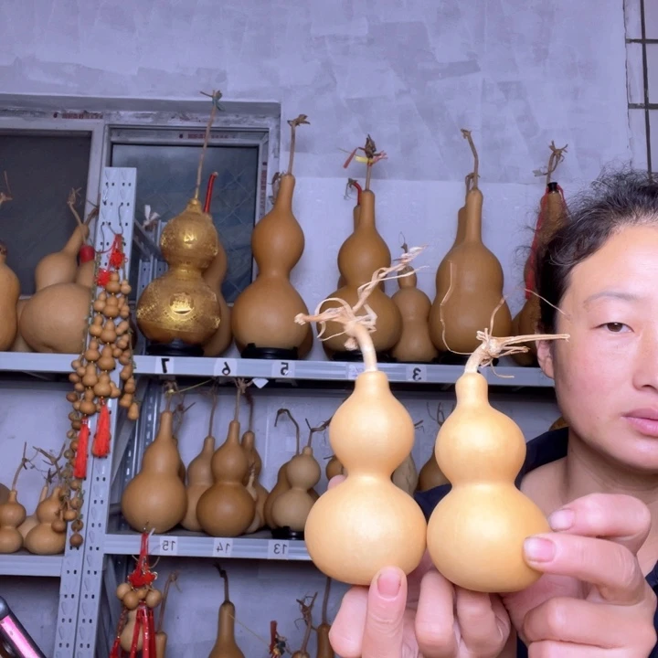 葫芦天然植物葫芦文玩