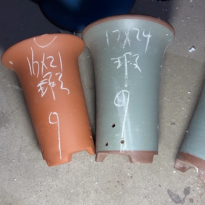 周深周深周深周深