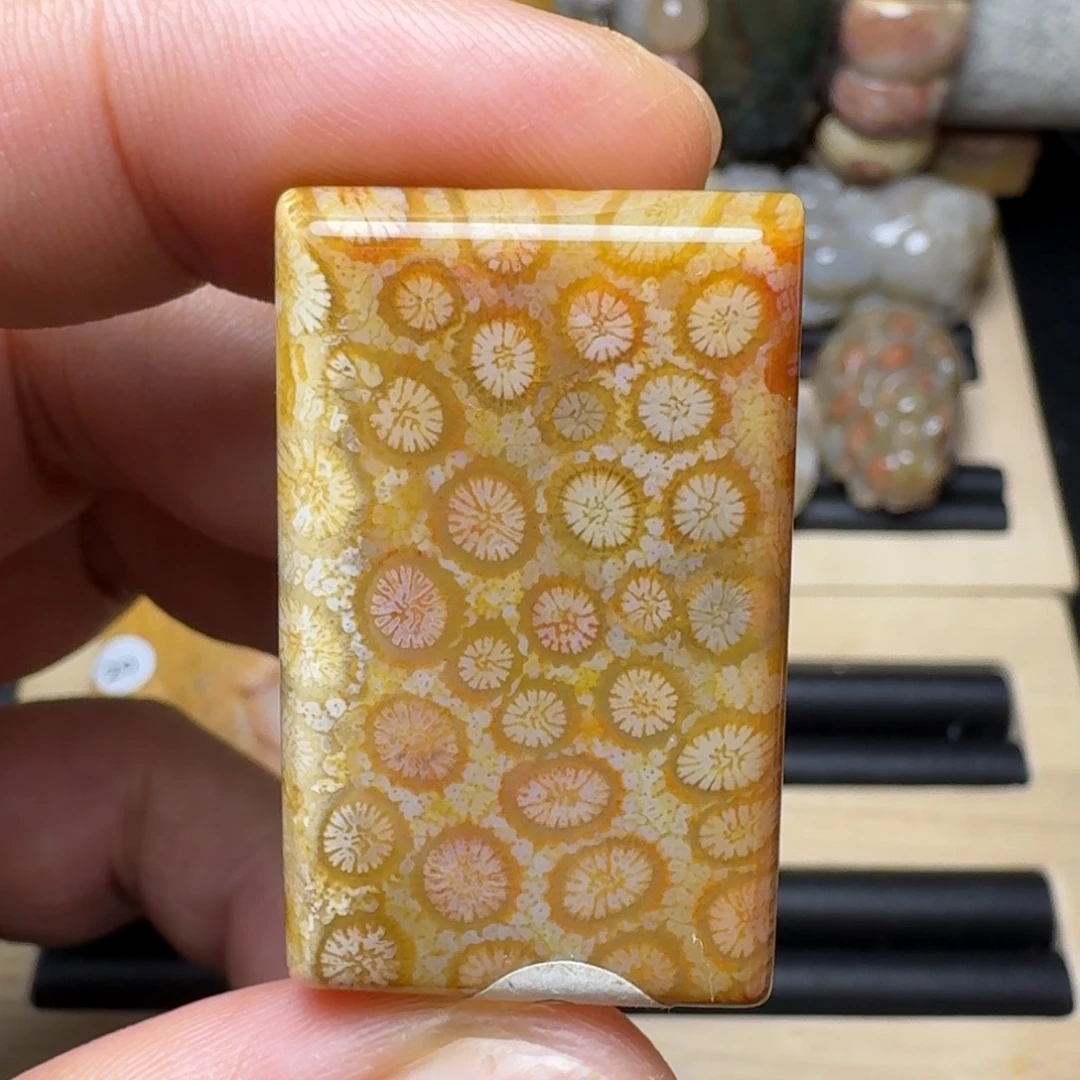 硅化玉未镶嵌纯天然色有机玉石保真色