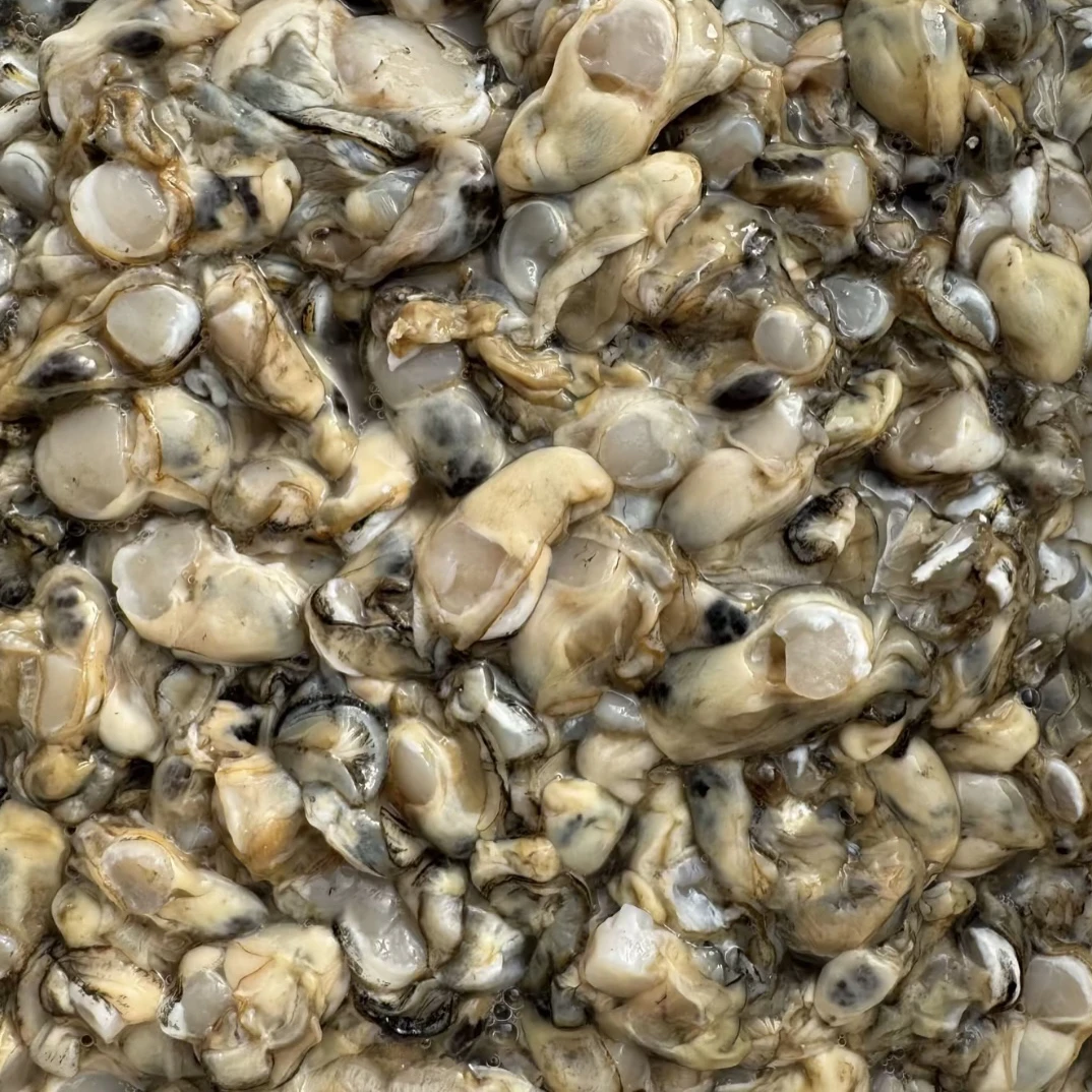 杏树屯原浆海蛎肉30-40个/斤