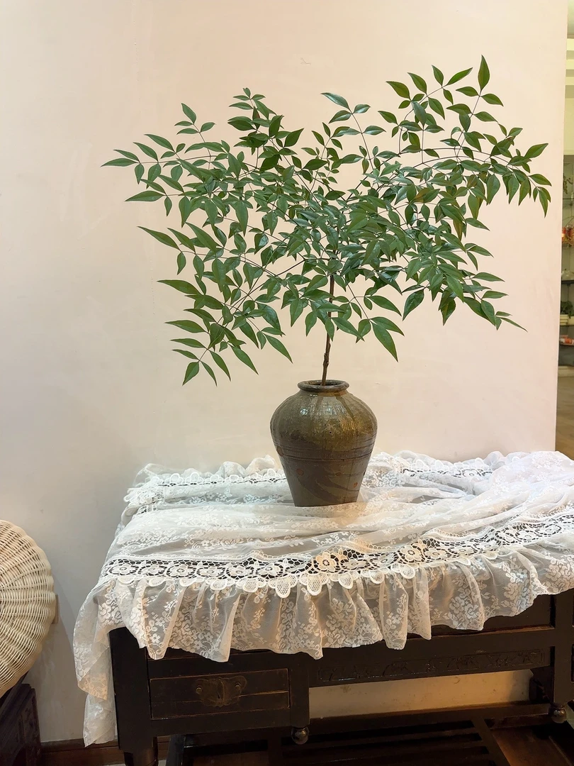 顺丰【拍一发二】南天竹鲜切水培植物北欧风室内家居文艺花高颜好养