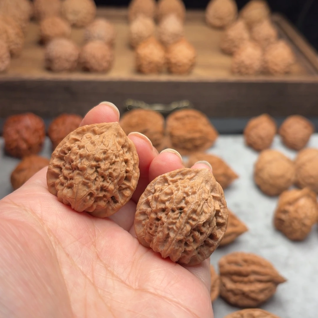 把件文玩核桃15号野生小帽32.29.34