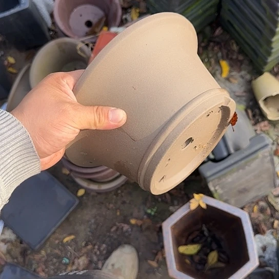 在干嘛的我还以为自己没看完这篇论文我看着