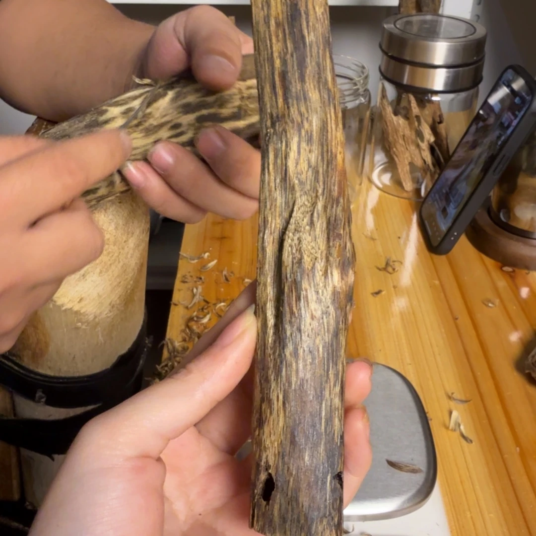 沉香乌身虫漏香25克