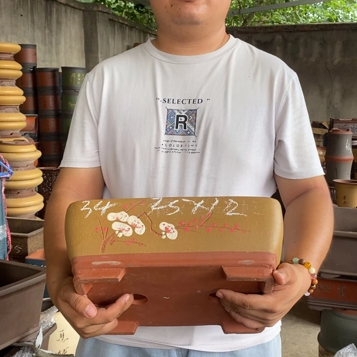 紫砂花盆盆栽花卉苗木