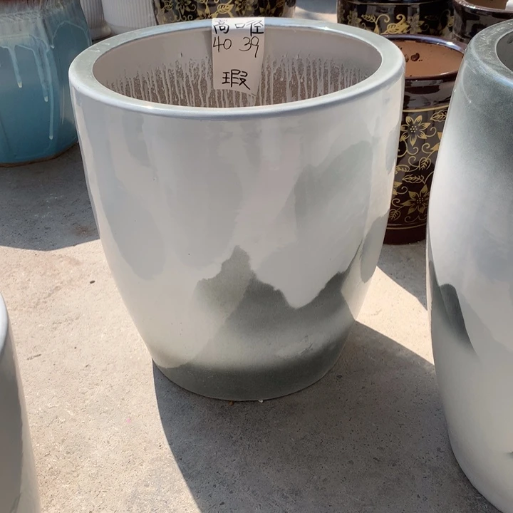 花盆里的花开了花