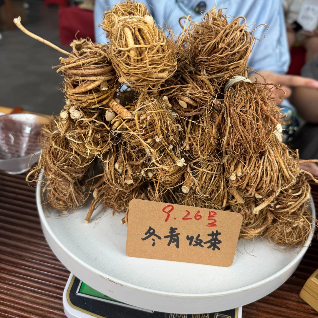 广东深山五指毛桃 不染色不熏硫 精选牛奶根 冬青收茶