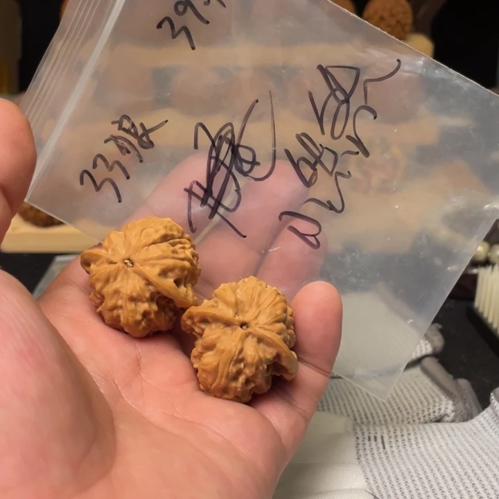 无***然文玩核桃把件野狼