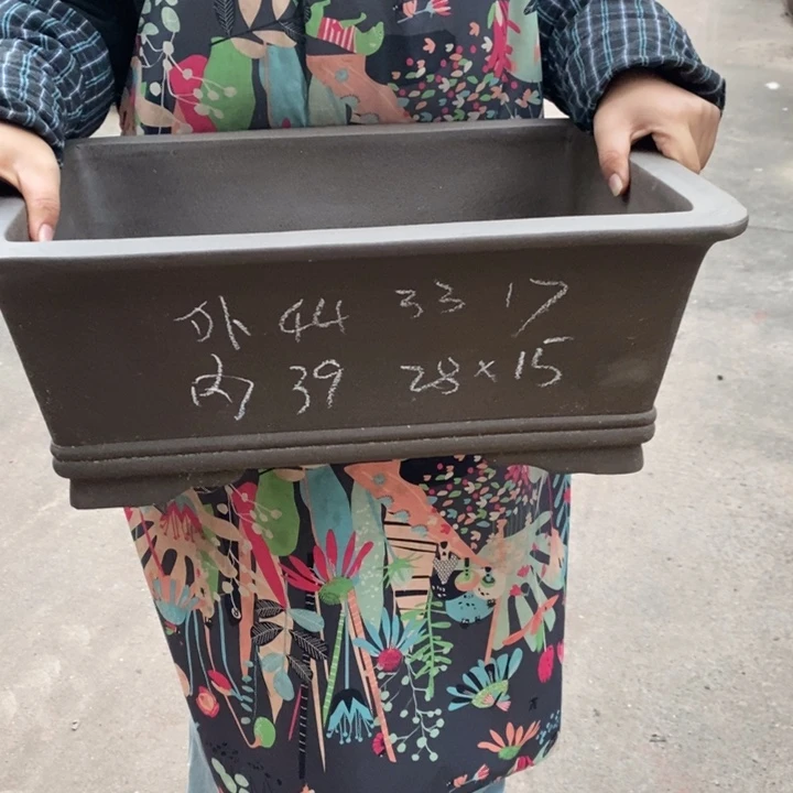 紫砂花盆只顾看手机