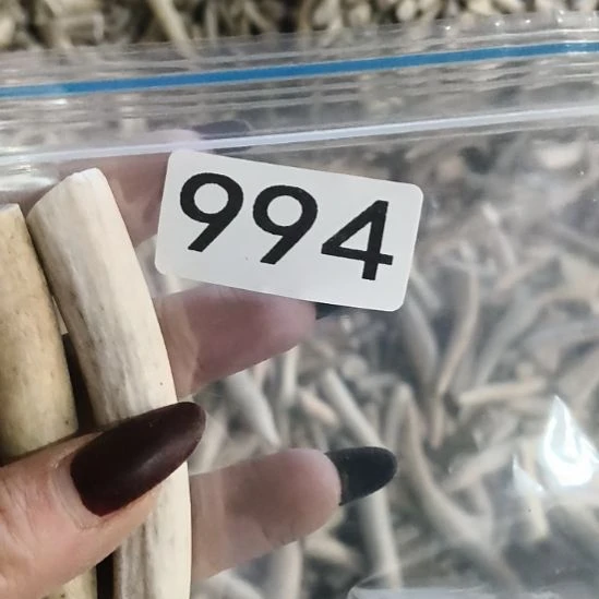 风***顺鹿角鹿角鹿角鹿角鹿角鹿角