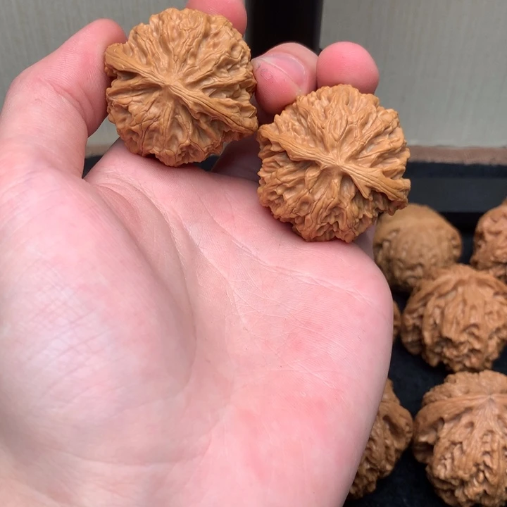 核桃40尺寸苹果园！！！