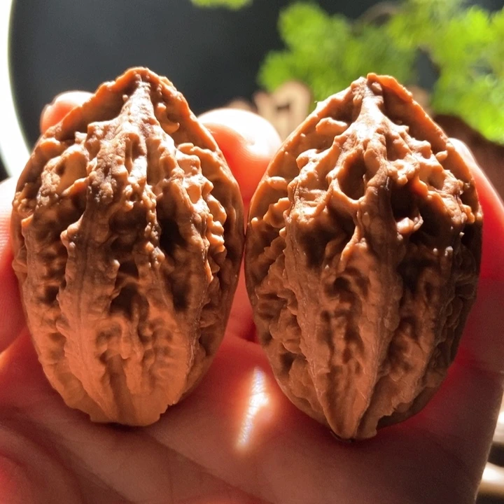 吊坠文玩核桃楸玥核10