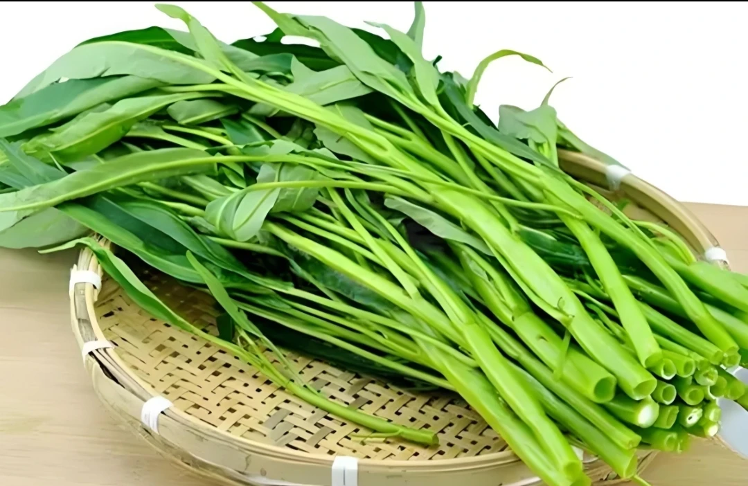 湖南本地空心菜(包邮)