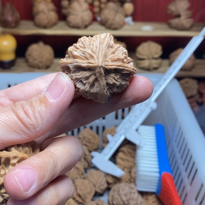 ，***，文玩核桃把件文玩