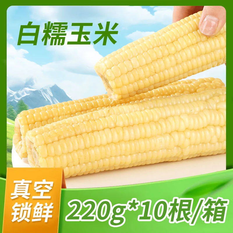 【10根大棒】大棒白糯玉米2025头茬山西甜糯软黏粘糯健康玉米棒健身