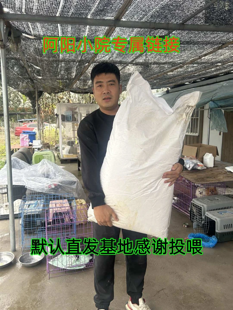 (阿阳毛孩小院专属链接）膨化玉米粉熟 喂狗全熟玉米面自制狗食