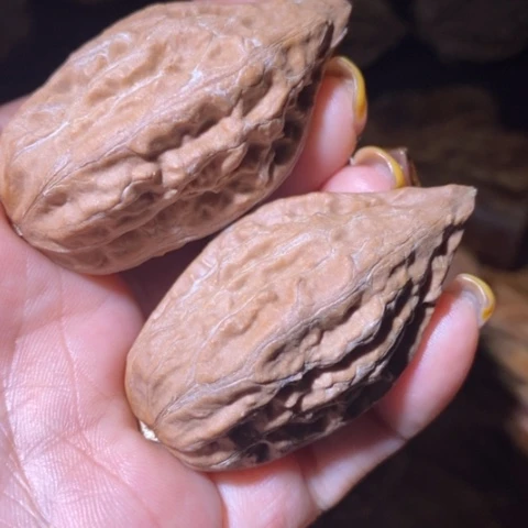 文玩核桃把件东北野生楸子小美01