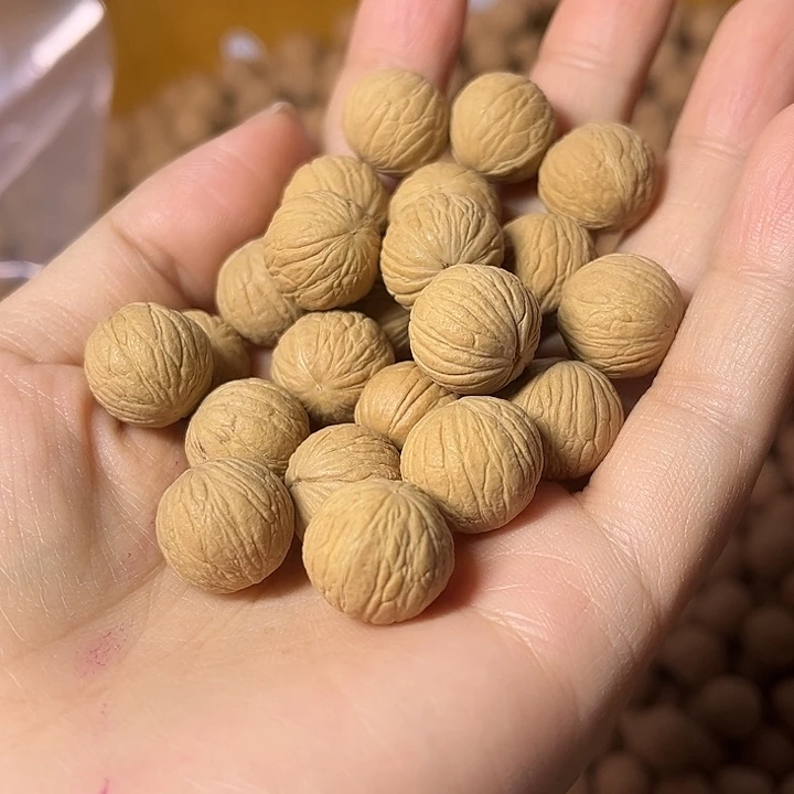 手串猴头核桃凤羽散珠100颗