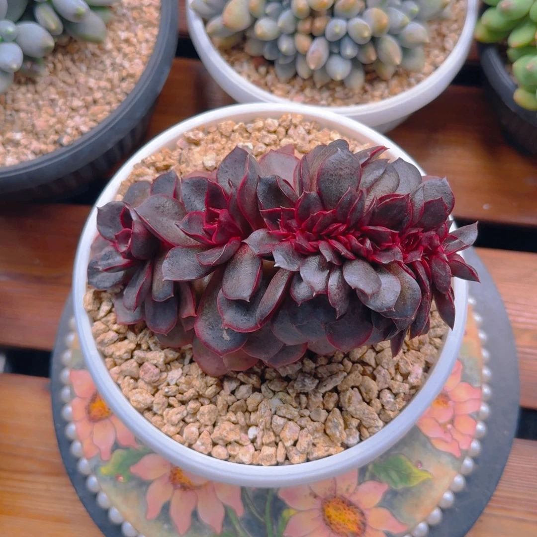 流逝姐发货111111111111