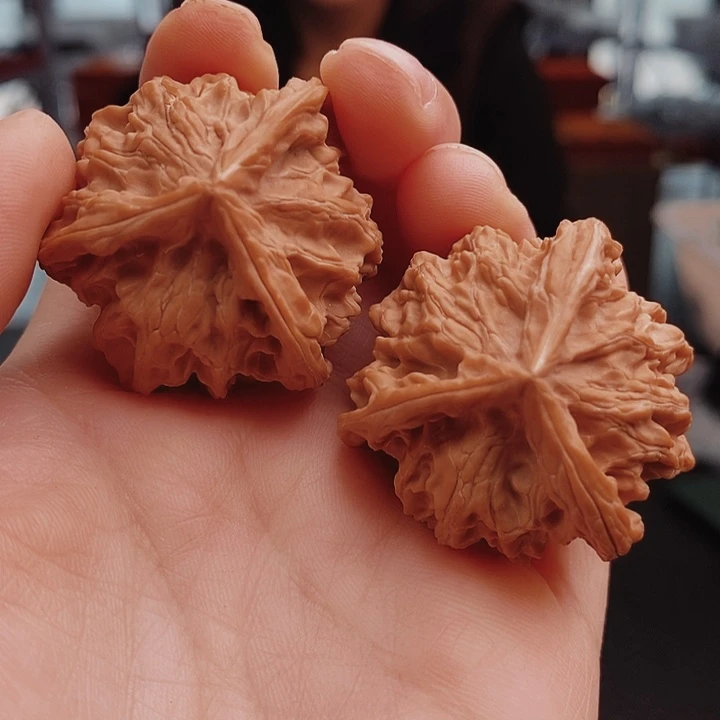 核桃37盘山三棱核桃