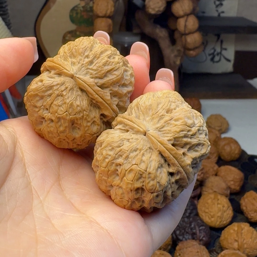 文玩核桃把件倒元宝40.9 树头