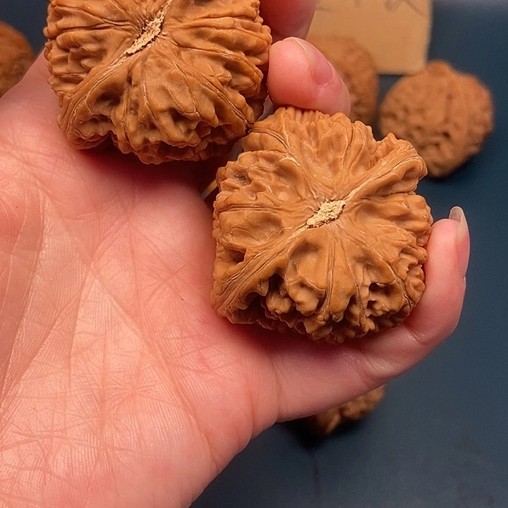 大***志大大大大大大水龙