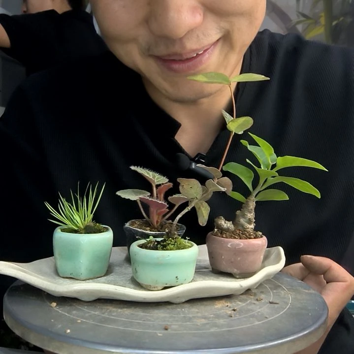 只****?中青园艺一物一拍90