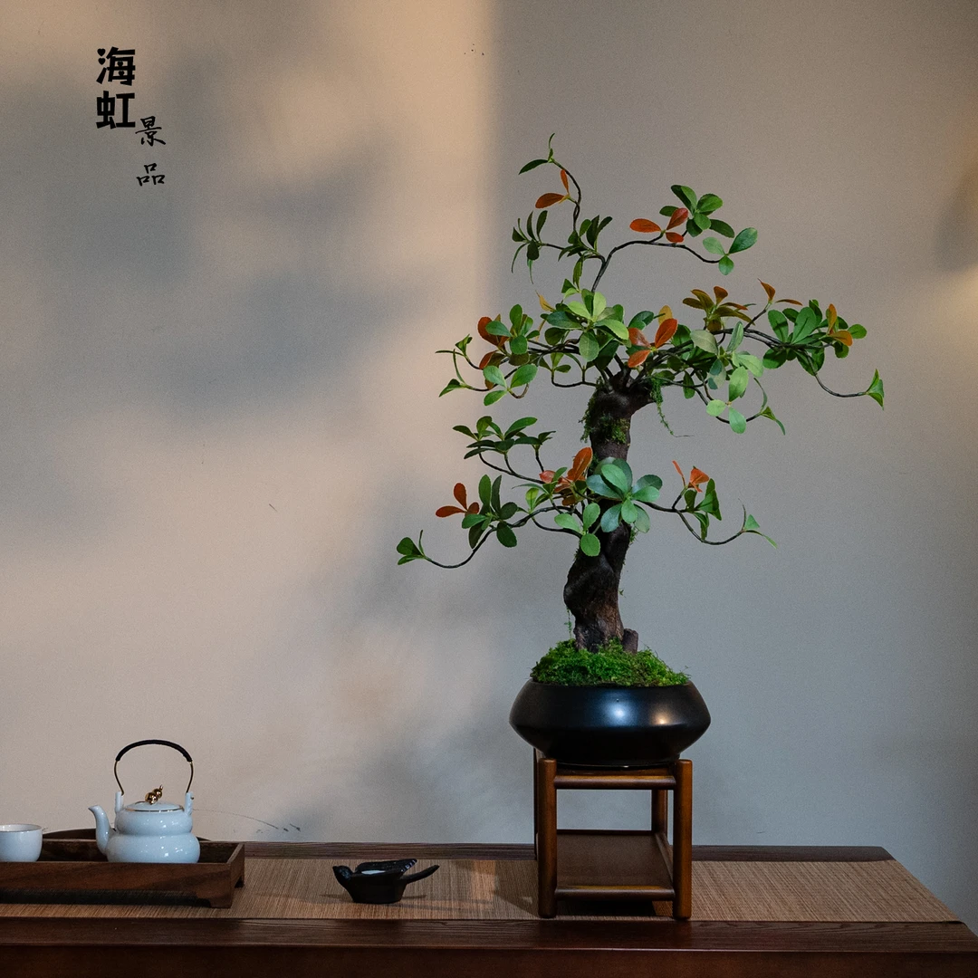 海岛春花古树盆景仿真绿植新中式禅意客厅玄关装饰逼真高档摆件
