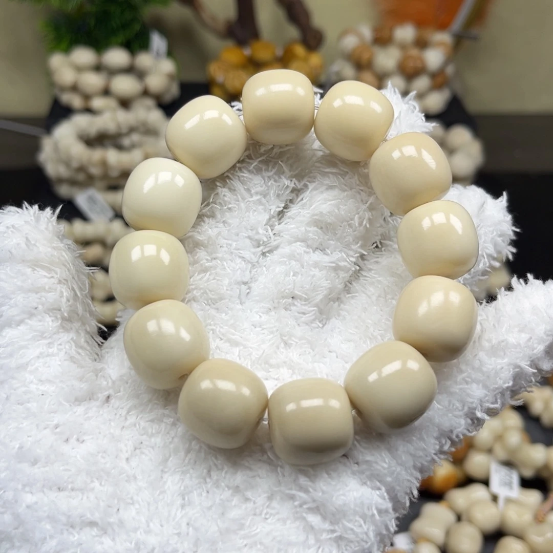 菩提根/象牙果吊坠2.9.25白桶