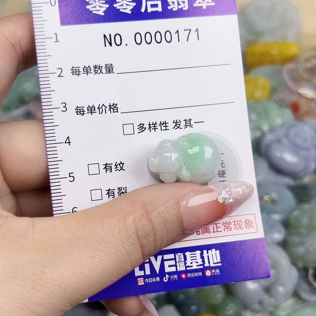 翡翠未镶嵌颈饰171